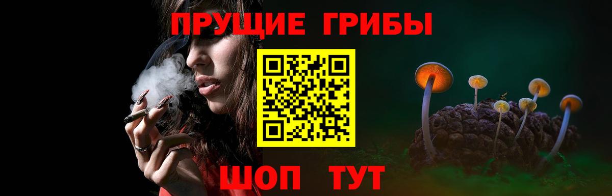 Галлюциногенные грибы Cubensis Новый Уренгой
